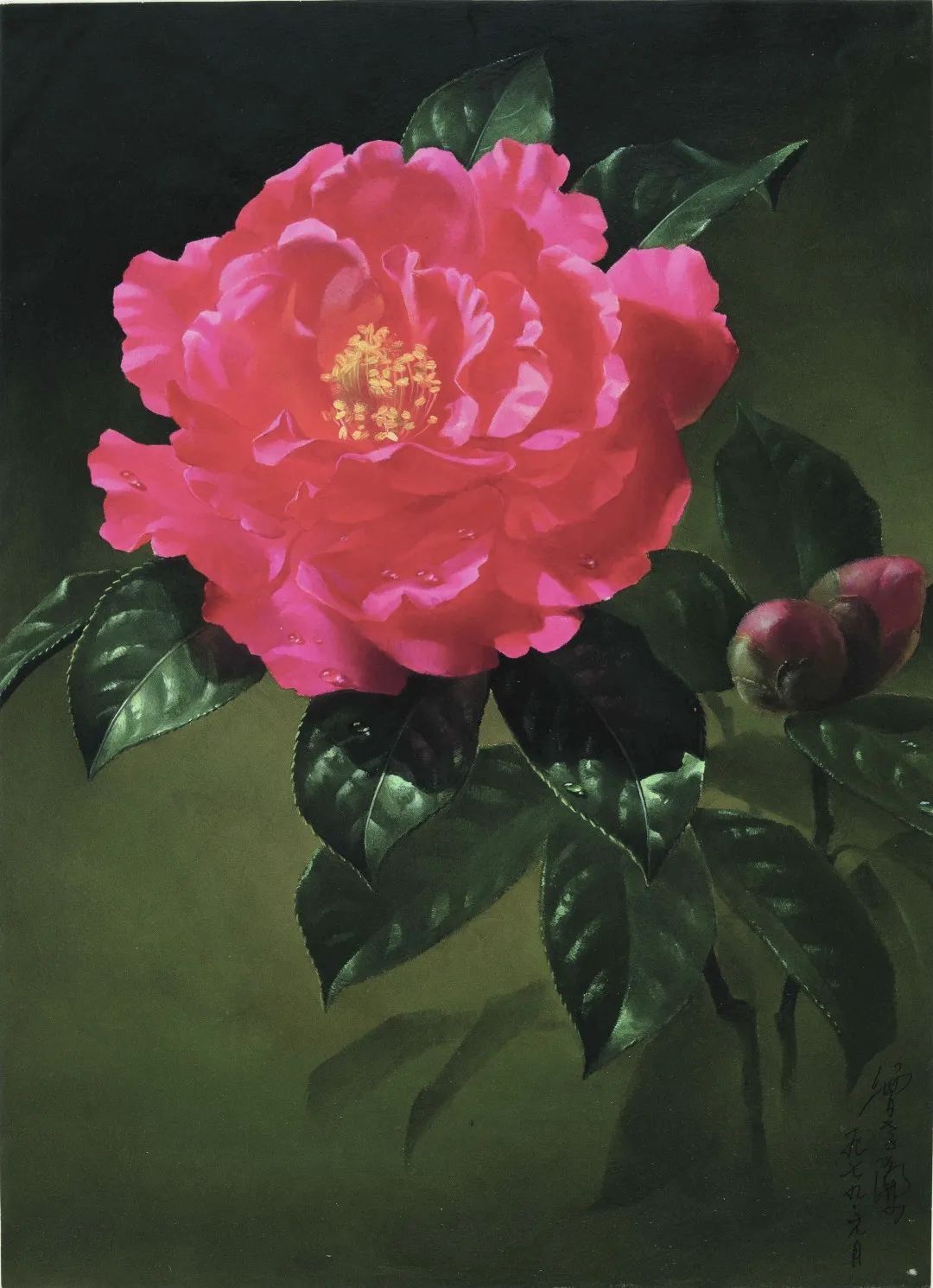 濒危稀有植物绘画,八大濒危珍稀植物