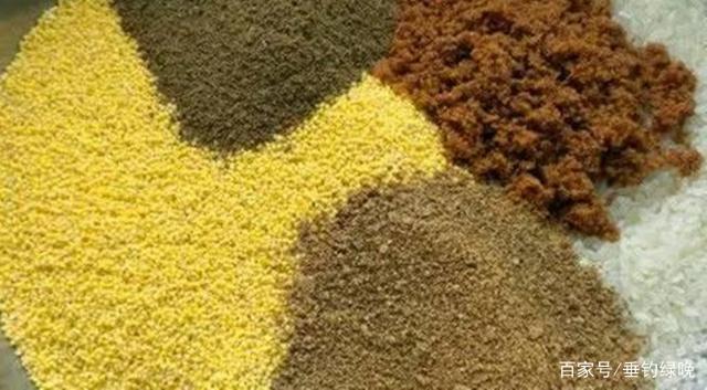 新手不会玩怎么钓鱼,新手钓鱼不会挥杆