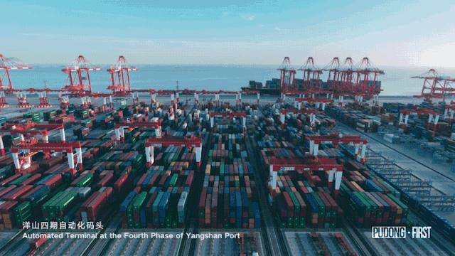 印度封国20天哭了，美国总统说了一句话......