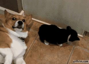 外卖老板送的纸巾,外卖送的纸巾干净吗