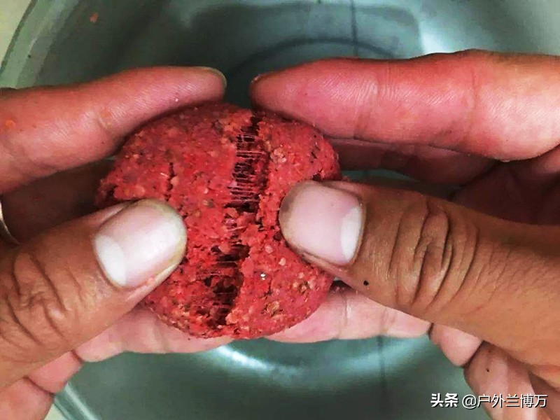 为什么都说新手用蓝鲫,为什么老钓手不爱用蓝鲫