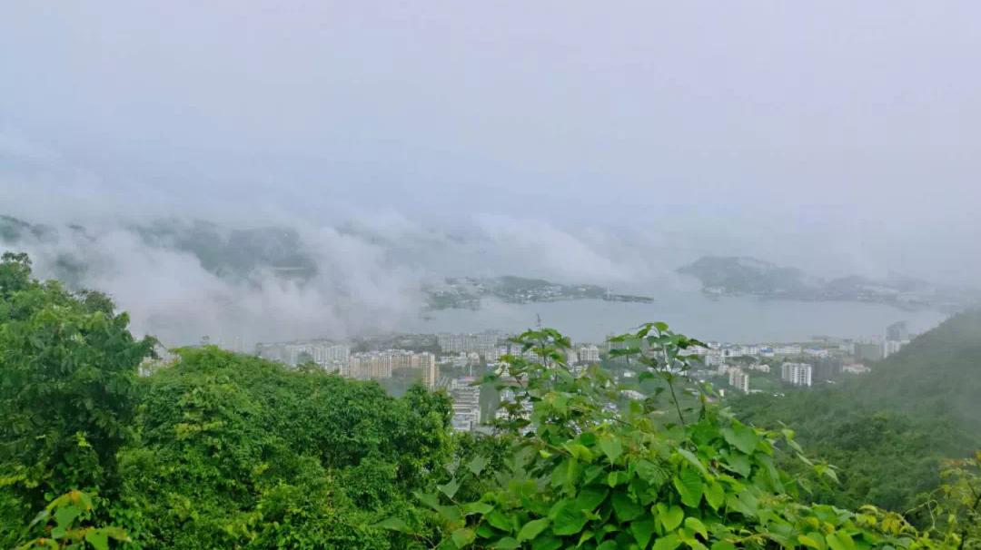 三亚冬天的感受,三亚的冬天的风景