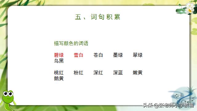 小蝌蚪找妈妈课程分享ppt,小蝌蚪找妈妈ppt教师讲解视频