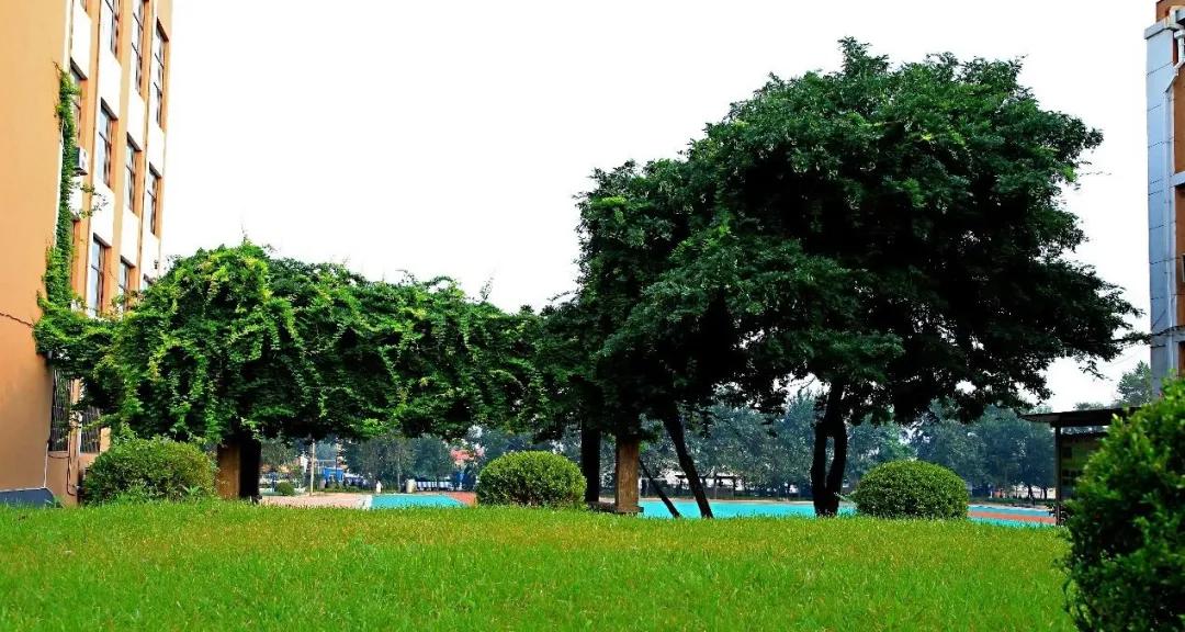 大连五中vs金州高级中学,大连五中高中