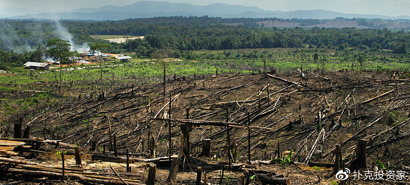 地沟油变废为宝视频,地沟油物尽其用变废为宝