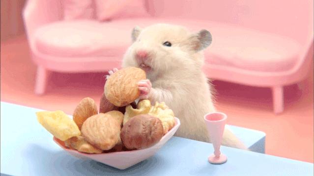 what?运动的好处还能“传”给下一代?