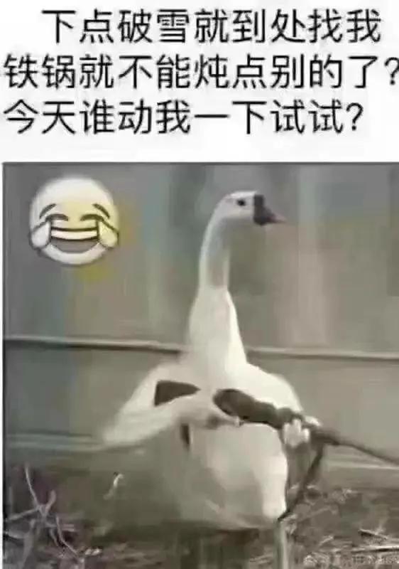 搞笑发工资根本发不完,发工资搞笑