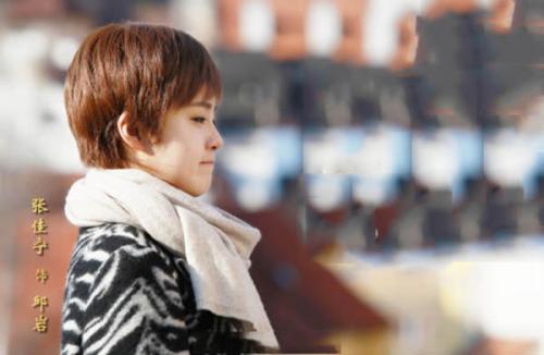 鸡毛飞上天的观影报告,观影报告鸡毛飞上天