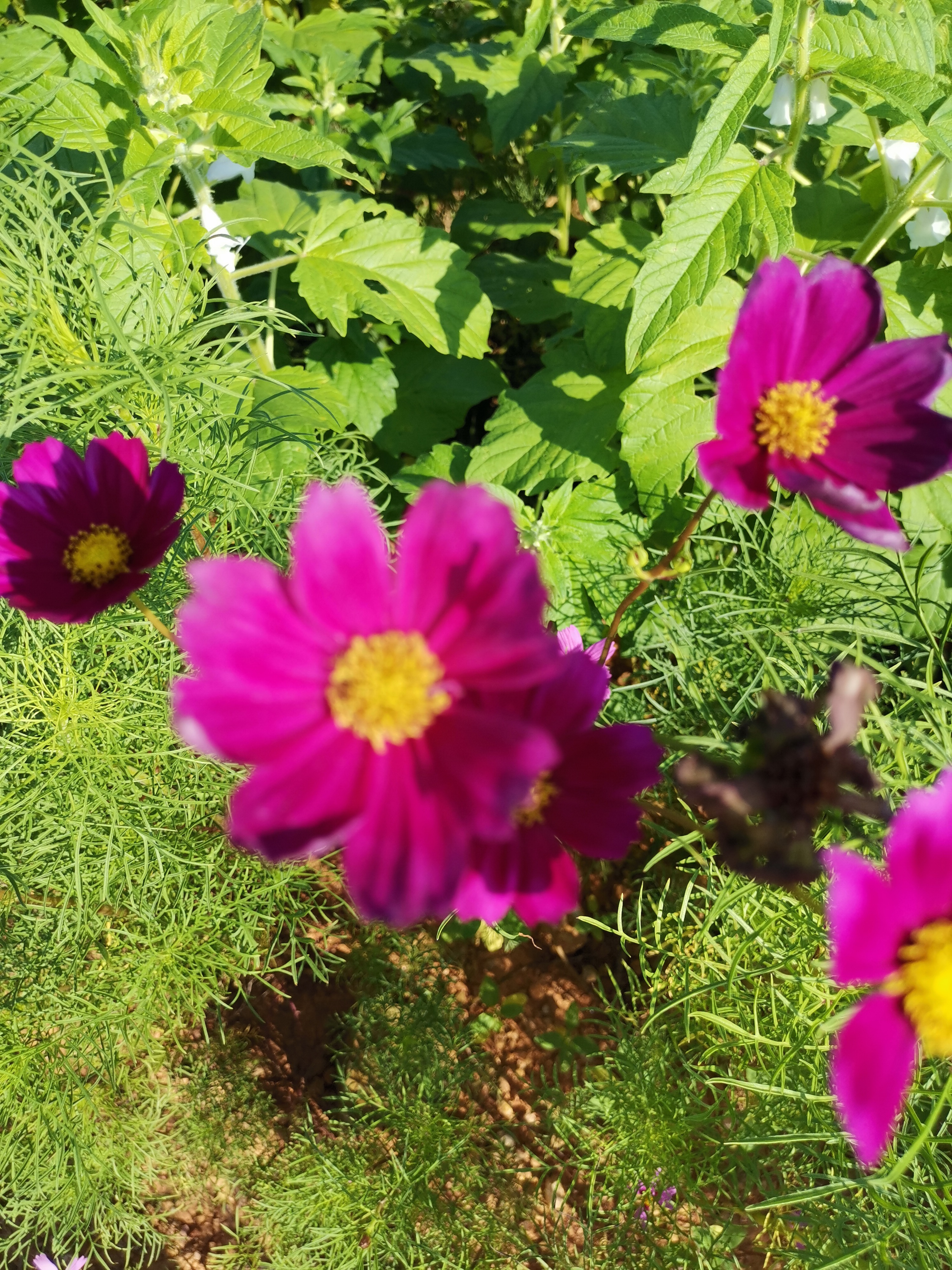 宸︽墜闈掓槬鍙虫墜鐖辨儏,宸︽墜瀛︿笟鍙虫墜鐢熸椿