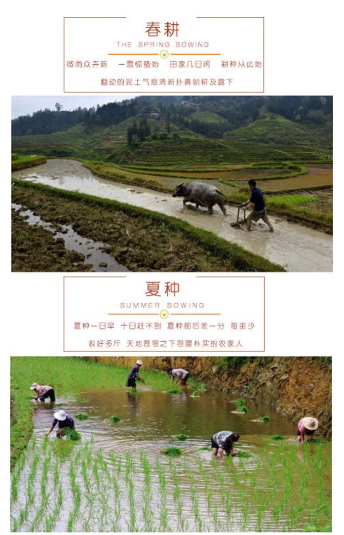 胭脂米多少钱一斤,胭脂红米