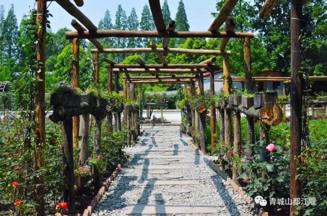 拒绝“人从众”！这个国庆必须到都江堰耍个“懒”，老街茶房、泥塑木作、古园书屋，快来享受你的小闲趣~