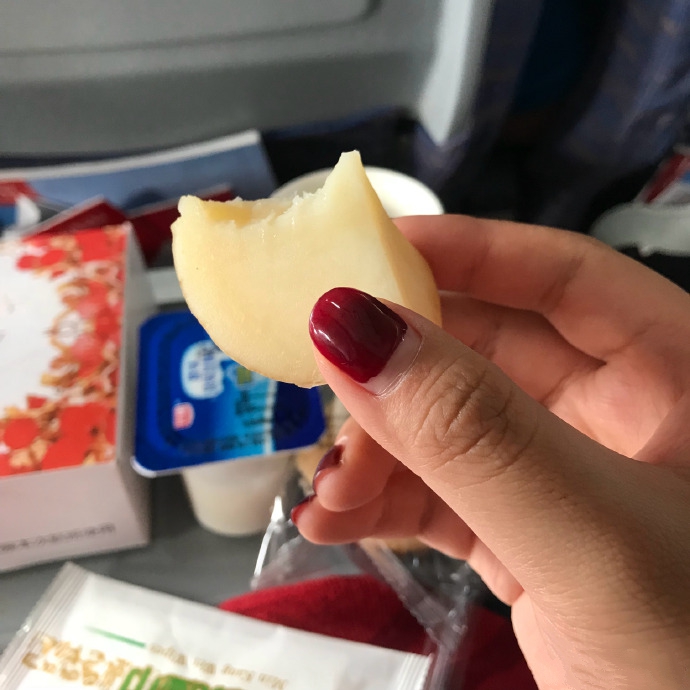 回家过年推荐飞机,过年回家飞机火车哪个最安全