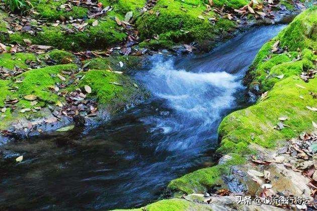 金丝大峡谷旅游有哪些推荐,金丝大峡谷景区攻略