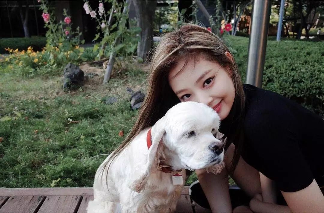 jennie和狗狗的日常,jennie有多宠狗狗