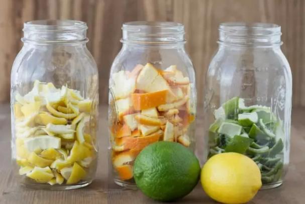 淘米水啤酒养绿萝,绿萝浇了淘米水就烂根了怎样挽救