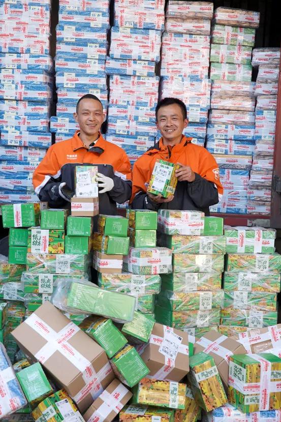 双11为什么买的衣服没有优惠,为什么双11买东西便宜