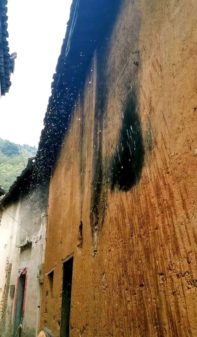 麦哲伦航线·第二站:阳产德味儿民宿合伙人-小丫TUYA