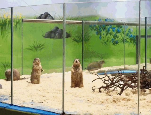 深圳十大暑假室内必去景点,深圳暑假值得带孩子旅游的地方