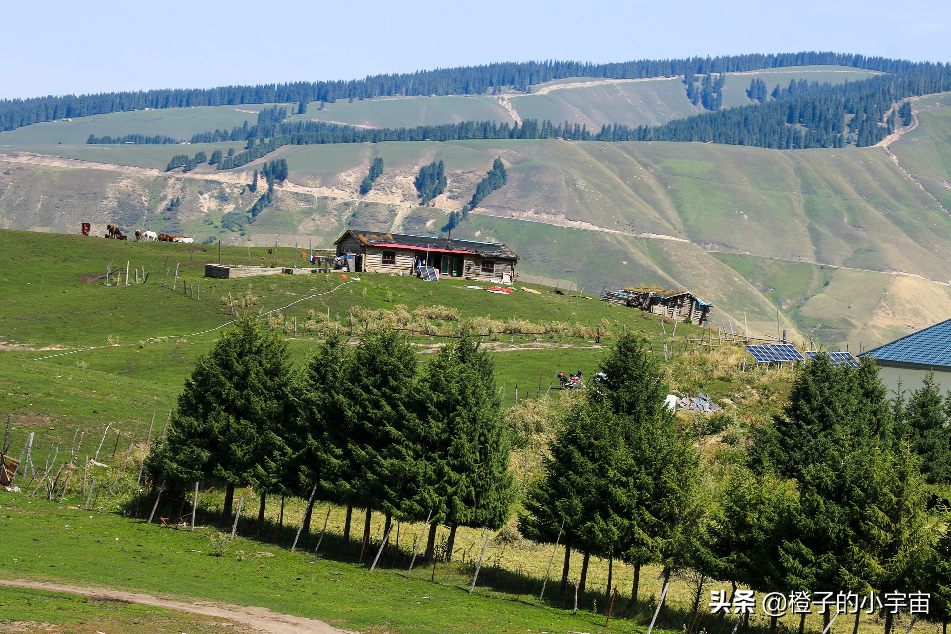 怀念琼库什台的羊毛被