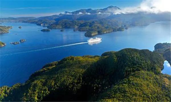 海豚“杰克”在暗礁海域为船只引航41年，爱让我们更懂得善待生命