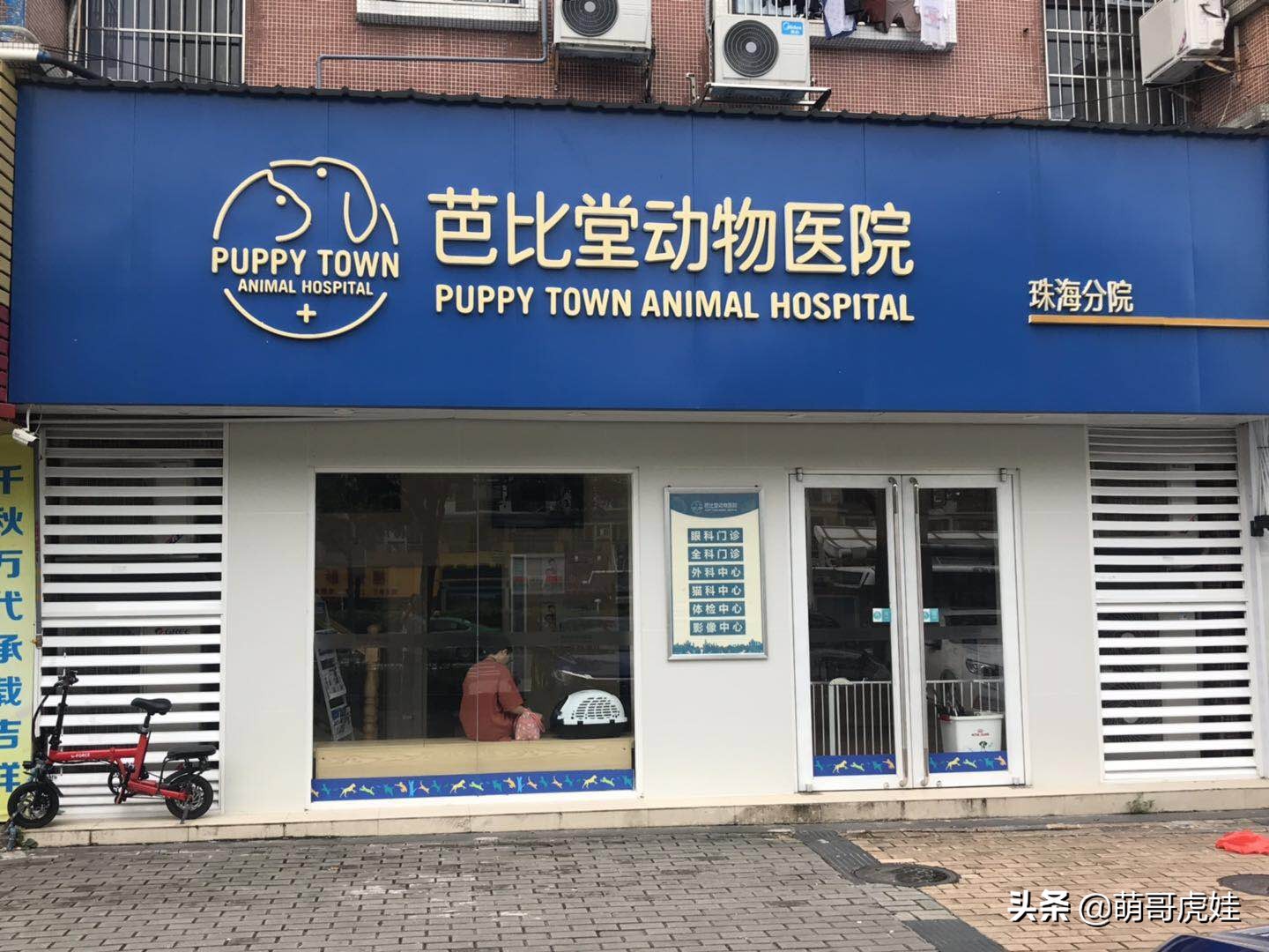 猫有没有不孕不育的,猫咪多大有生育能力公猫