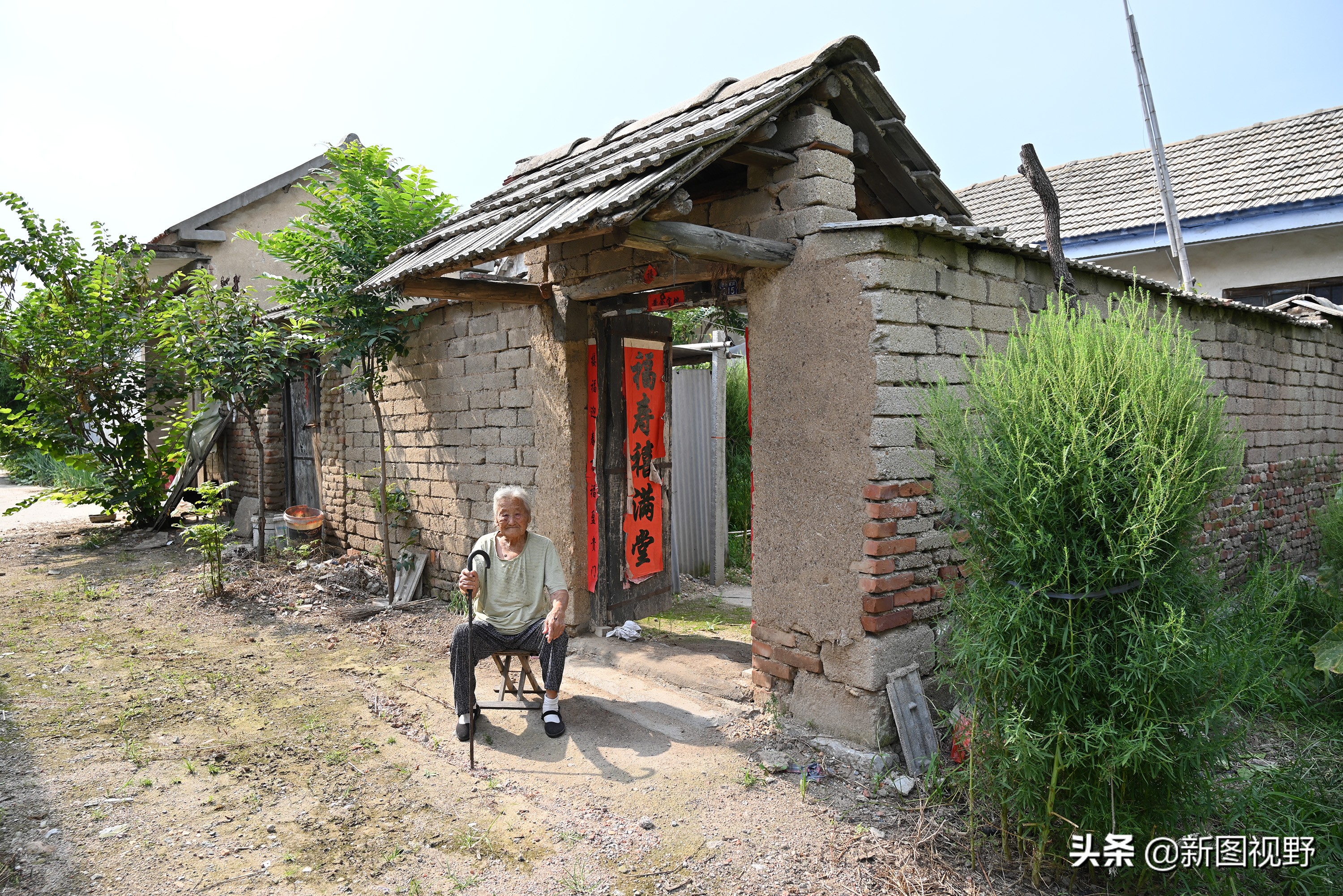 77岁儿子谈长寿经验,100岁母亲插话说出生活秘诀,极具人生智慧