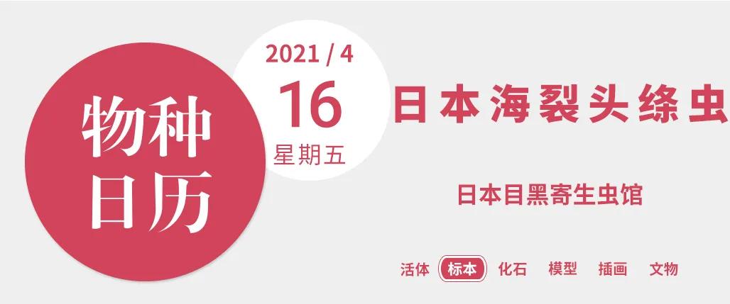 肛拭子有危害吗,肛拭子的好处