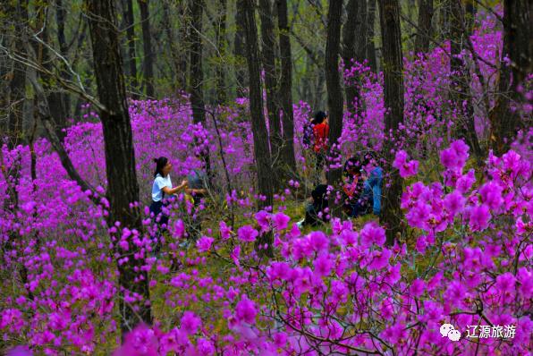 周游辽源怎么样,辽源周游攻略