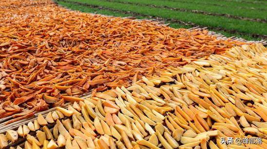 快递进村的利好政策你知道吗,农村快递进村最新政策