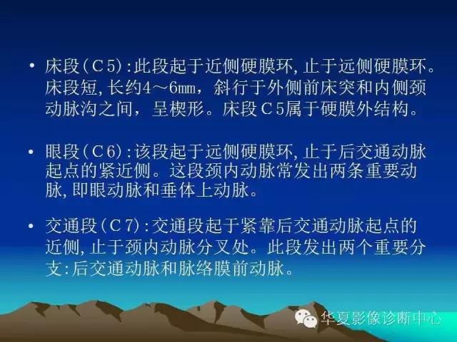 小脑血管解剖分段,脑血管影像解剖讲解