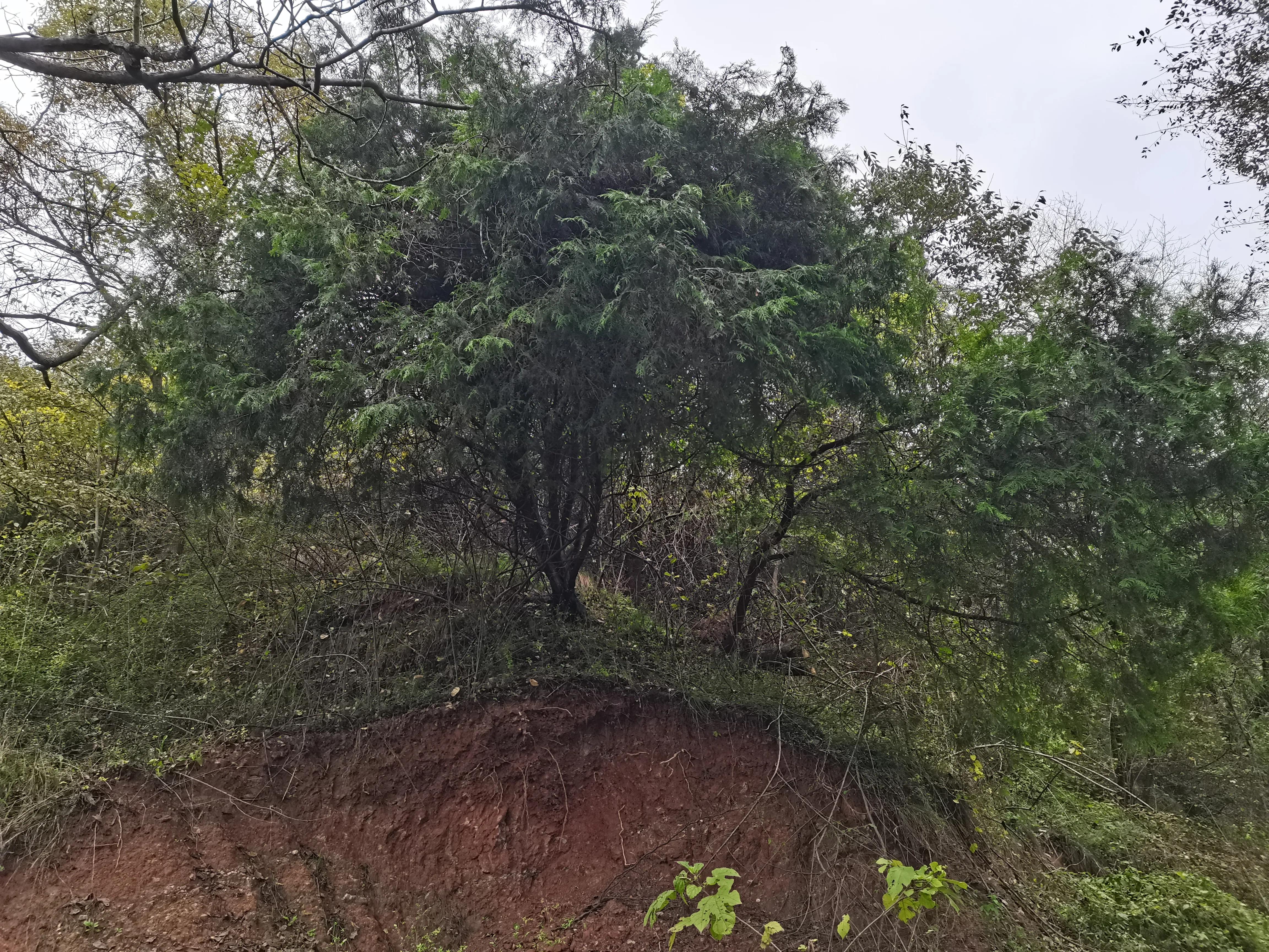 西安洪庆山自驾游路线图,西安洪庆附近旅游景点