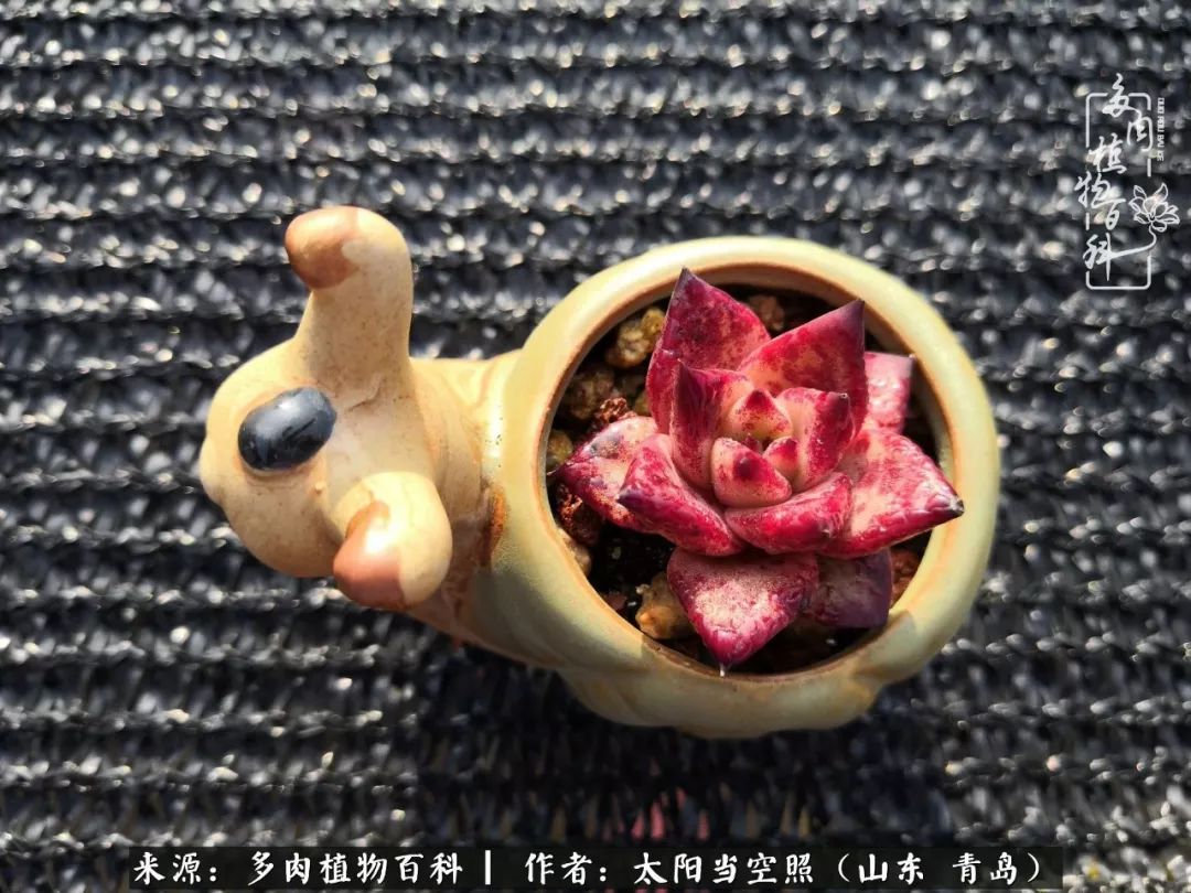 离家在外才发现最难忘的是故乡情,离家在外看见家乡的东西