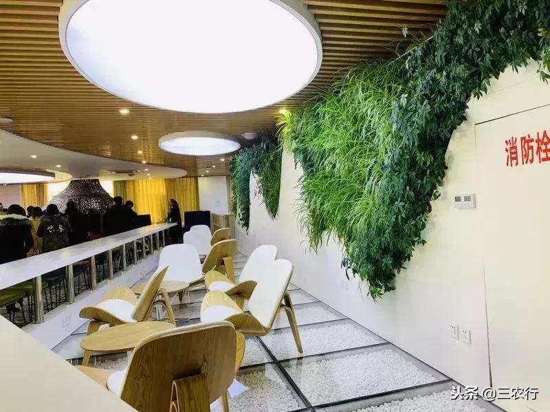 三农行：匠心筑梦沐熙为消费者带来品质之选