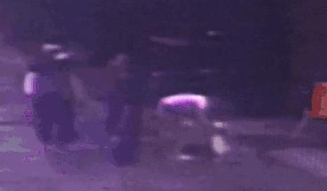 广东深圳高空坠狗事件,警方通报男子高空摔死狗