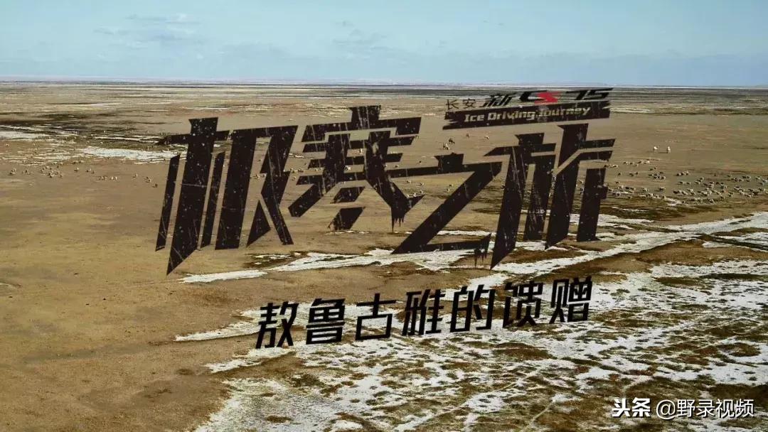 敖鲁古雅原始部落驯鹿喂草,敖鲁古雅驯鹿旅行