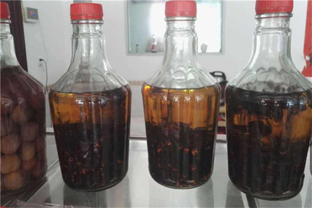 金环虎头蜂酒制作过程,虎头蜂酒的功效与作用及制作方法