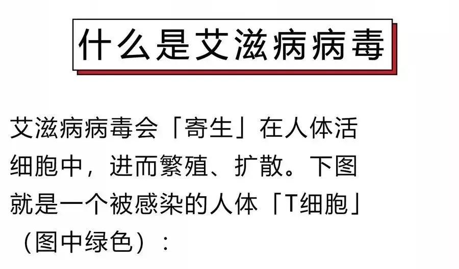艾滋病病毒入侵全过程曝光,世界上被证实的艾滋病毒体外感染