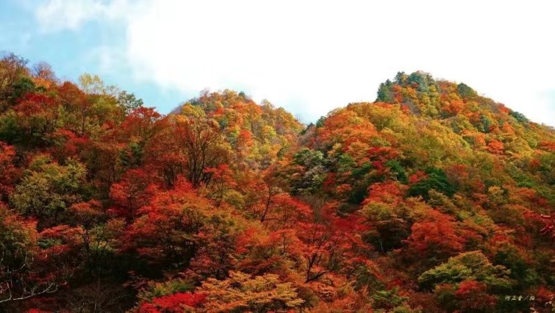 抓住秋天的尾巴走进冬天,抓住秋天的尾巴寻最后一抹金黄