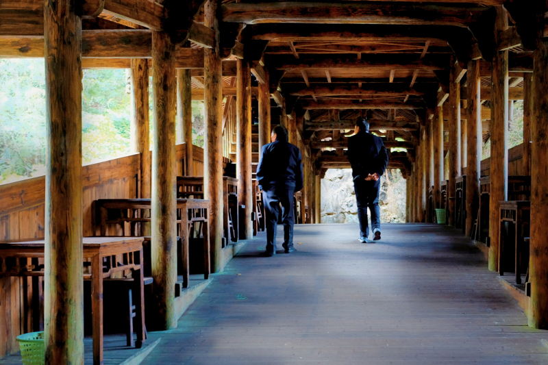 温州文成自驾游攻略最佳路线推荐,温州旅游攻略泰顺路线推荐