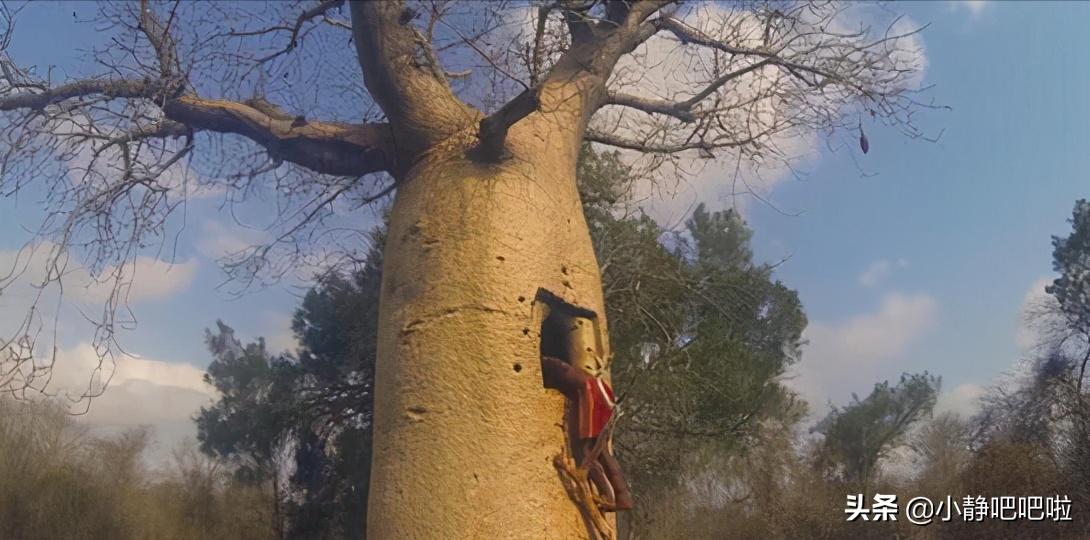 马达加斯加冷知识,马达加斯加的特点和路线