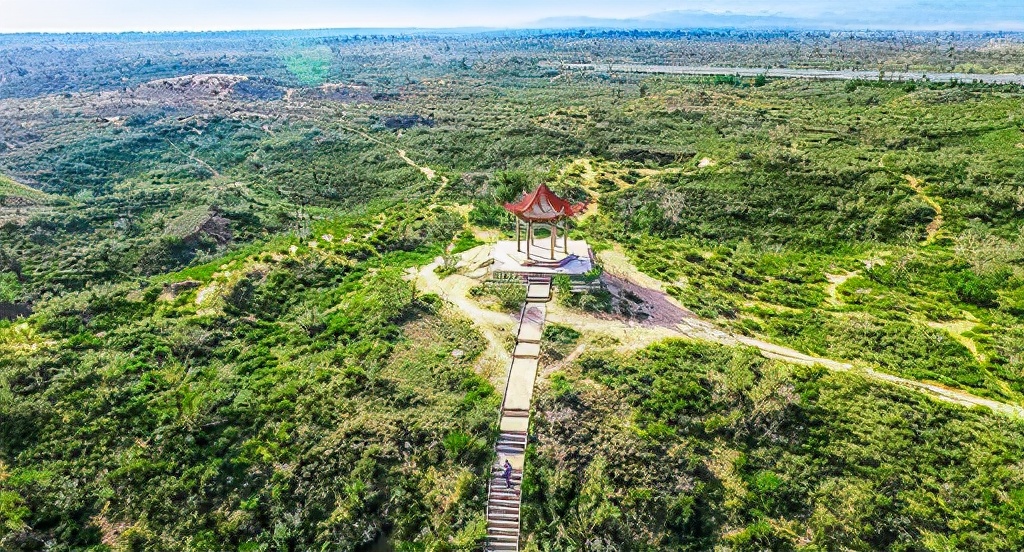 为什么阻止沙漠变成森林,如果沙漠全部变成森林地球会怎样