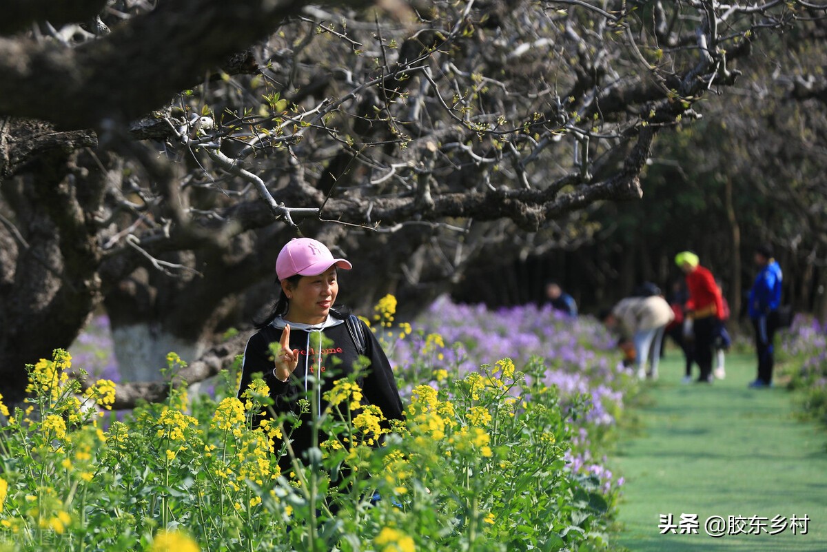 2021年夏天热不热？夏至即将来临，牛年三伏天有多少天呢？