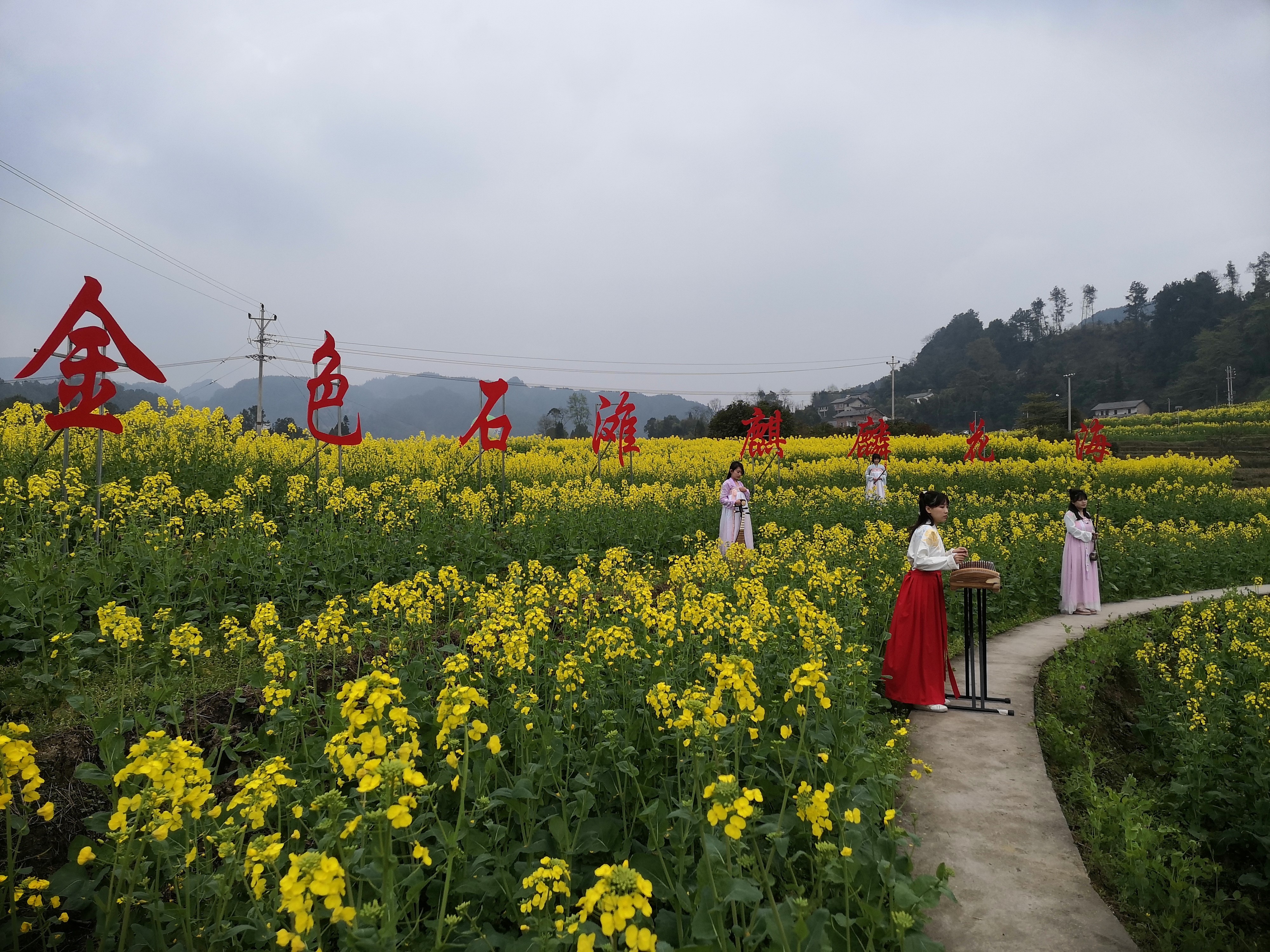 在空中看花海是一种怎样的体验?巴南石滩带你飞!