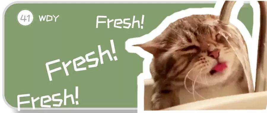 猫咪看着猫粮想吃又不敢吃怎么办,猫咪不爱喝水用什么办法解决