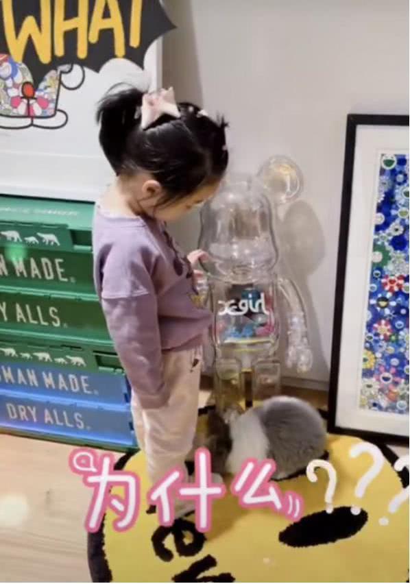 陈赫豪华豪宅图片,陈赫日本豪宅