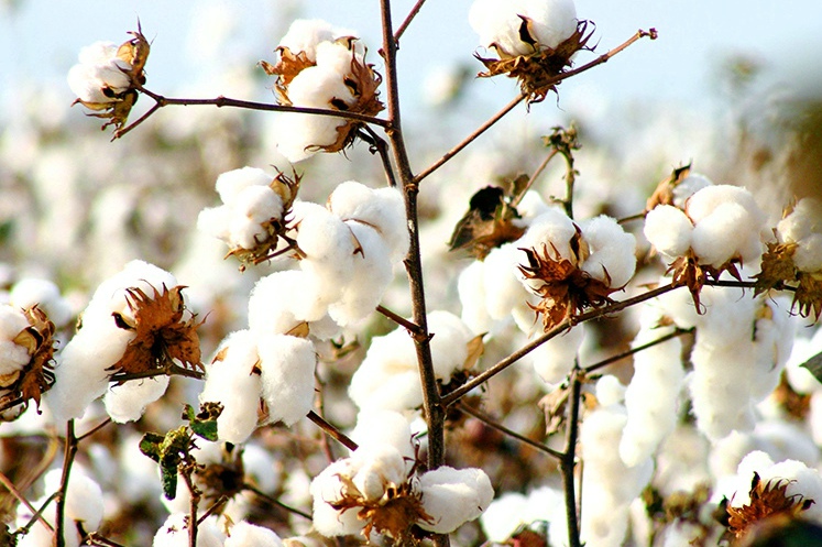 u型成人旅行枕,u型枕旅行四季