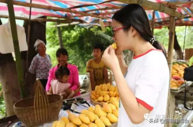 弥勒千亩西瓜熟了!黄心瓜、红心瓜、小香瓜…你喜欢哪种?