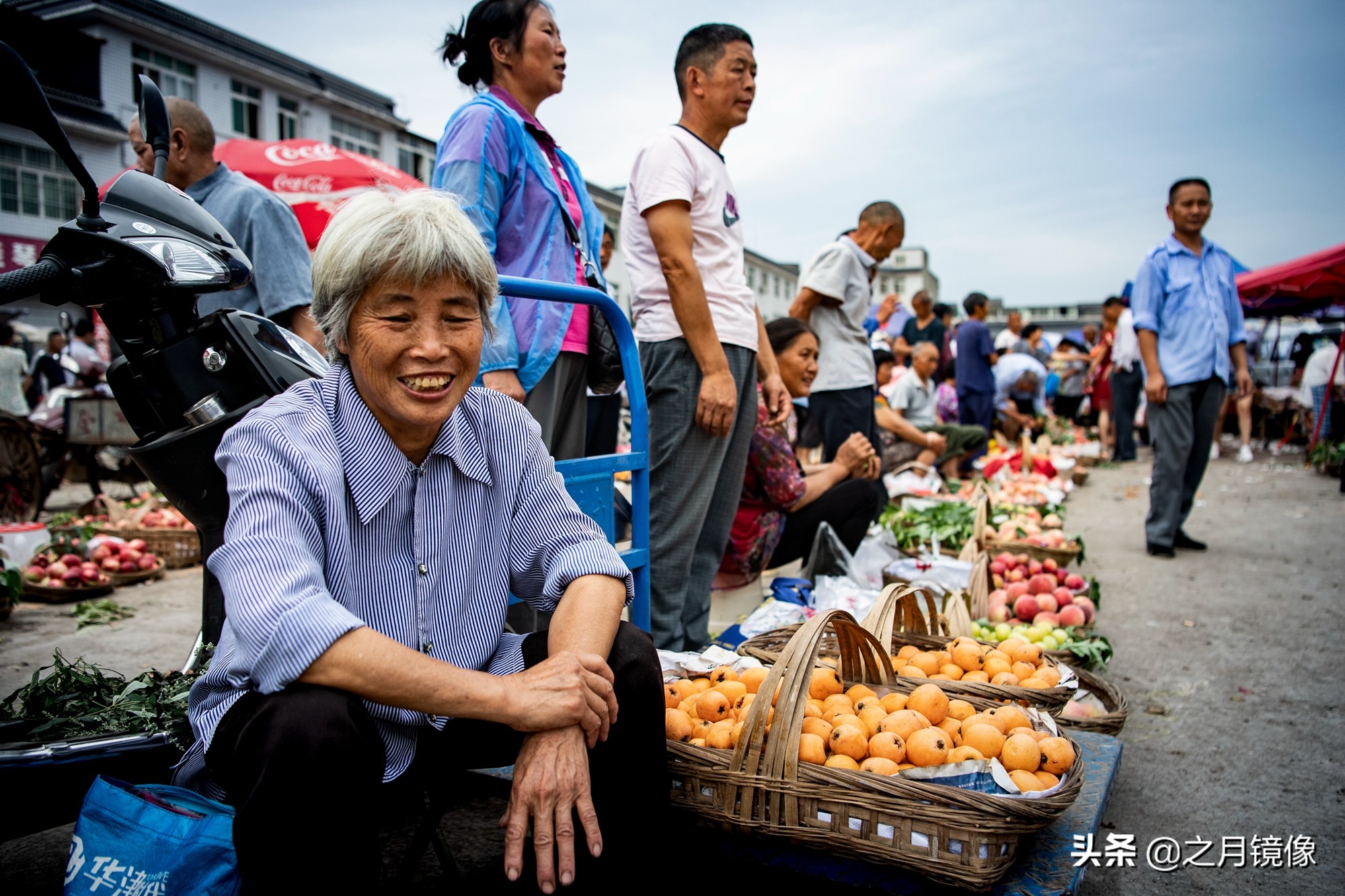 天府新区太平枇杷,成都太平枇杷批发市场