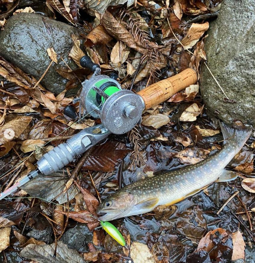 路亚钓鱼技巧新入门,路亚钓鱼进阶指南