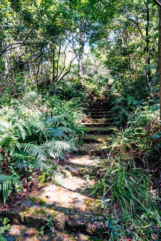 观音山风景如画,观音山美景精彩视频